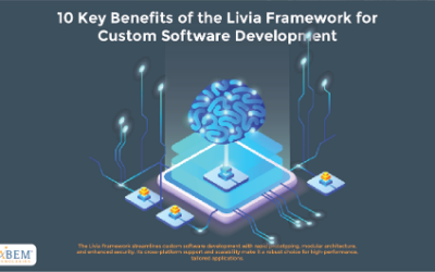 10 Key Benefits of the Livia Framework for Custom Software Development